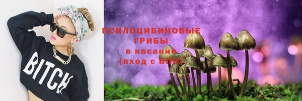 индика Кукмор